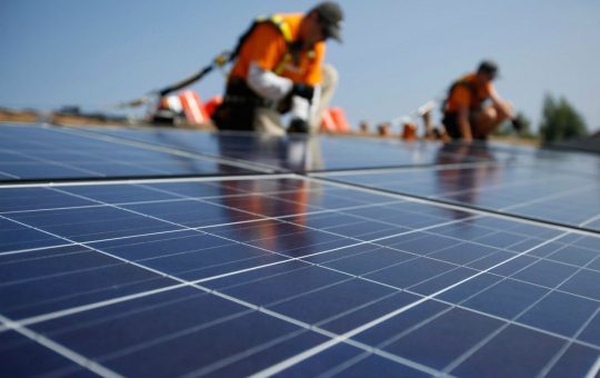 transferencia_al_ecosistema_005