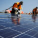 transferencia_al_ecosistema_005