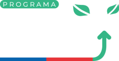 logo-DPS-centro