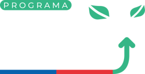 logo-DPS-centro